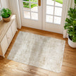 Oriental Vintage Non Slip Area Rug