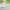 1000GSM Bamboo Mattress Topper
