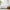 7/5 pieces microfiber comforter set