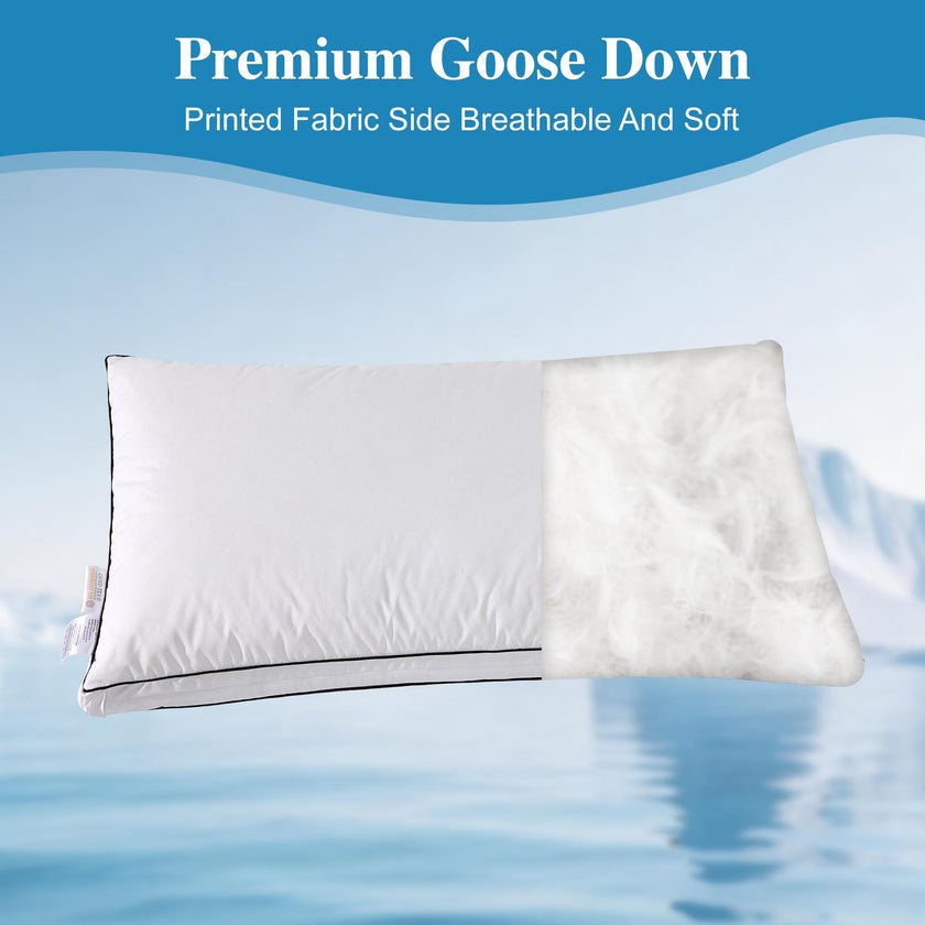 Dual Fill Cooling Pillow
