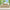 4/ 6 Pieces 100% Organic Cooling Bamboo Sheets