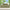 4/ 6 Pieces 100% Organic Cooling Bamboo Sheets